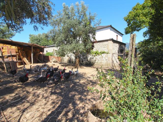 Casa venda em Boalhosa, Viana Do Castelo