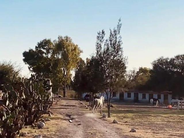 Quinta / granja con casa de campo, caballerizas y bungalows Querétaro
