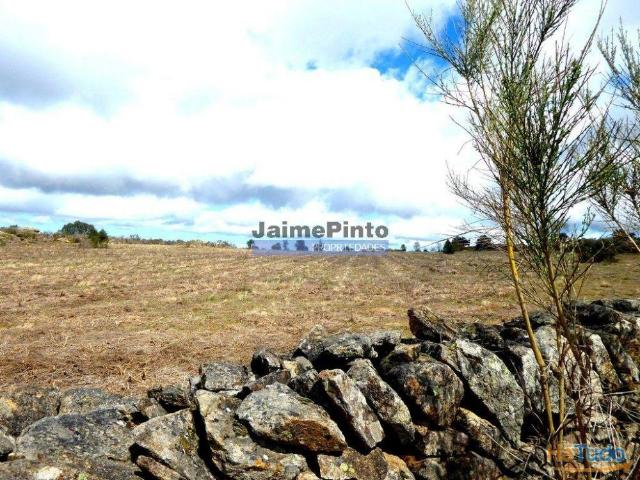Terreno venda em Guarda, Figueira De Castelo Rodrigo
