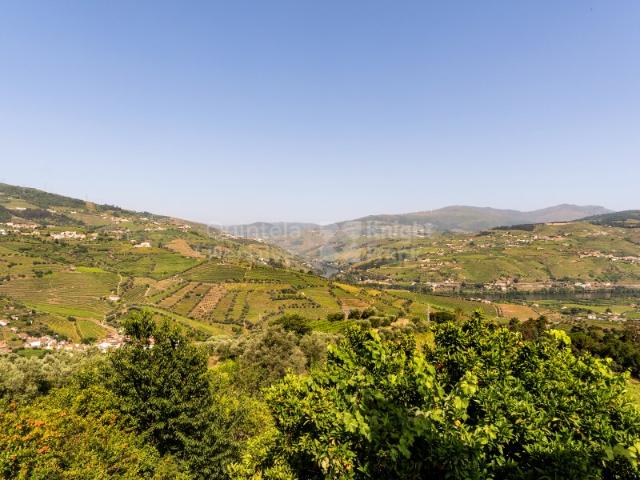 Quinta venda em Quintião, Lamego