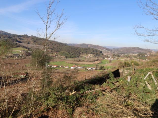 Quinta venda em Felgueiras, Porto