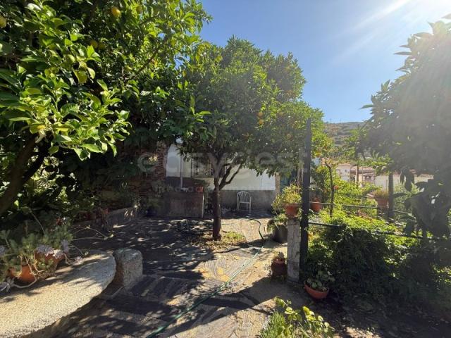 Quinta venda em Guarda, Mós