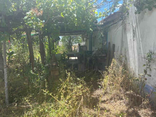 Quinta venda em Grândola, Setúbal