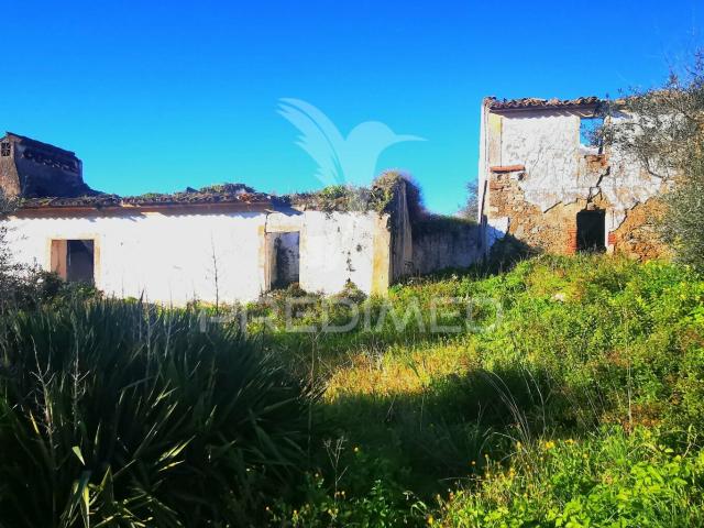 Quinta venda em Portalegre, São Lourenço