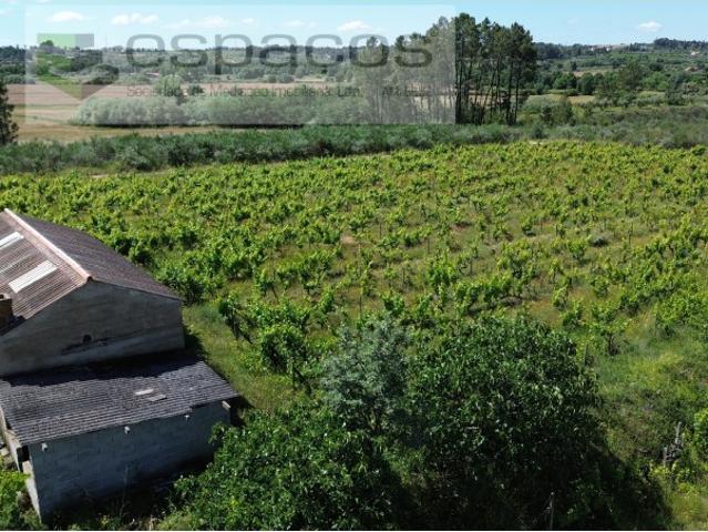 Quinta venda em Castelo Branco, Aldeia Nova Do Cabo