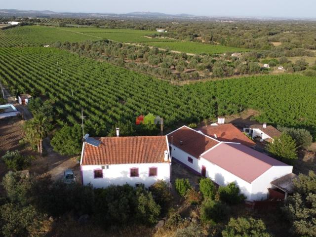 Quinta venda em Reguengos De Monsaraz, Évora