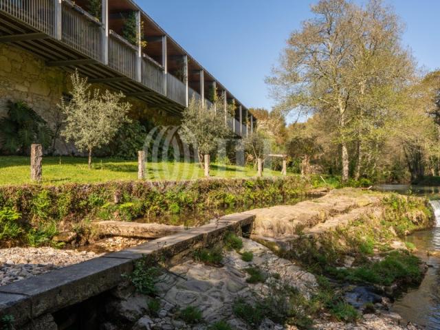 Quinta venda em Viana Do Castelo