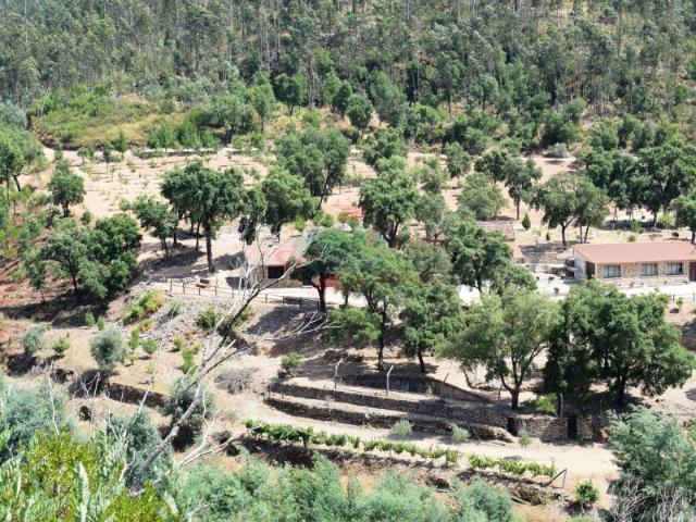Quinta venda em Vila Nova De Poiares, Coimbra
