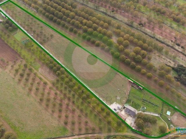 Quinta venda em Argeriz, Vila Real
