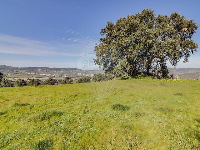 Quinta venda em Arruda Dos Vinhos, Lisboa