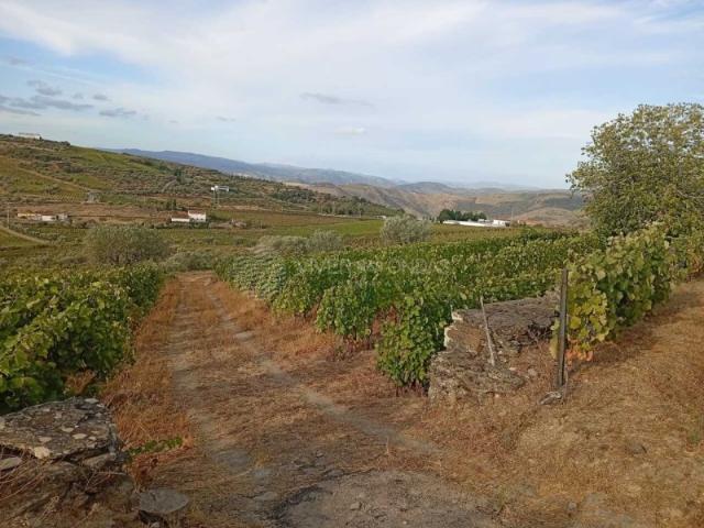 Quinta venda em Viseu