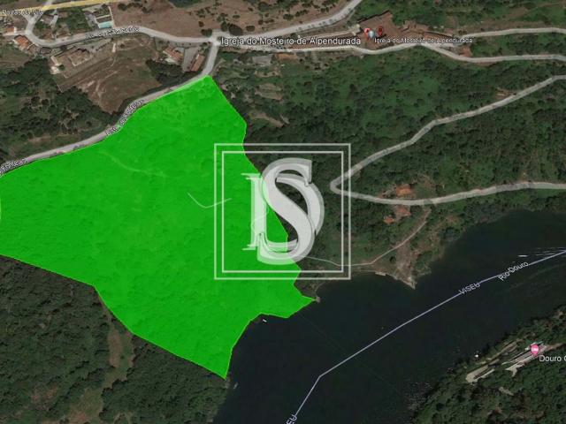 Quinta venda em Marco De Canaveses, Porto
