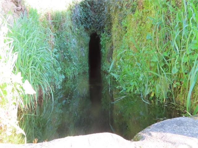 Quinta venda em Castelo Branco