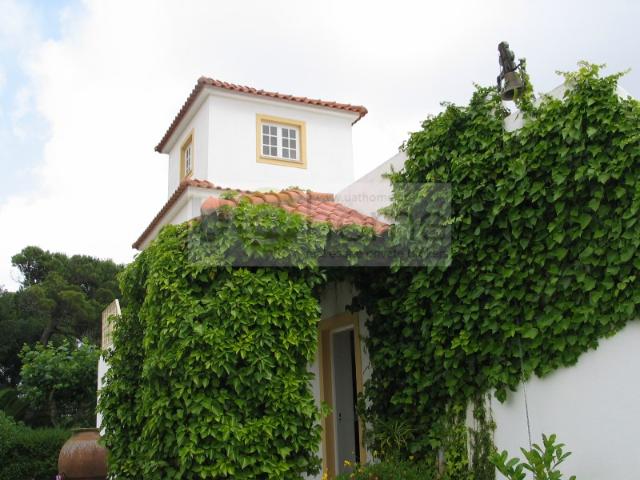 Quinta venda em Bolelas, Sintra