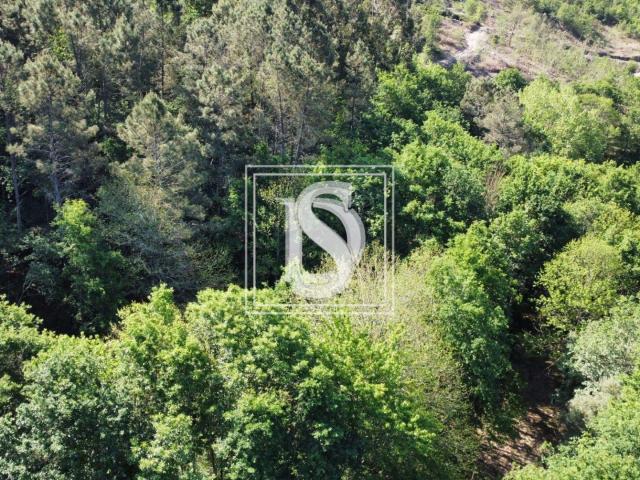 Quinta venda em Vieira Do Minho, Braga