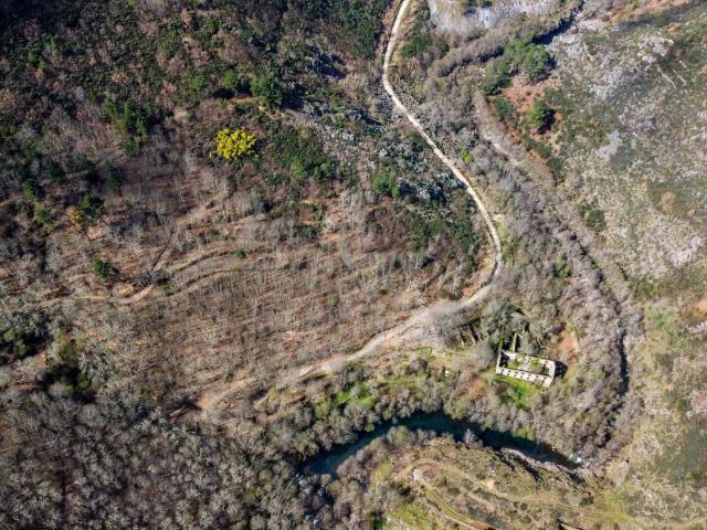 Quinta venda em Guarda