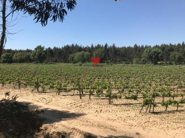 Vivenda venda em Azambuja, Lisboa