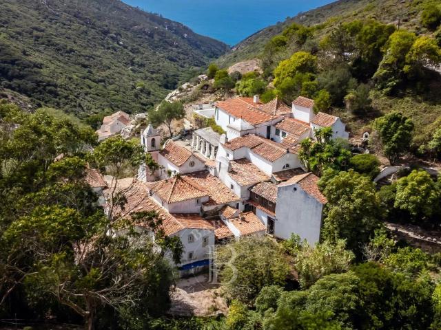 Vivenda venda em Santarém