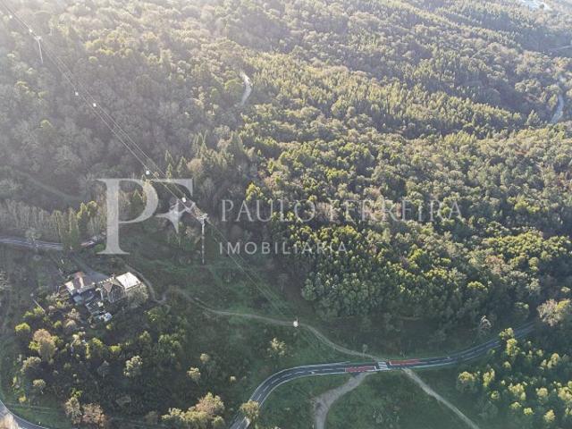 Quinta venda em Guimarães, Braga