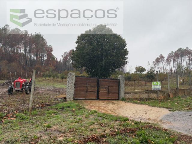 Quinta venda em Castelo Branco