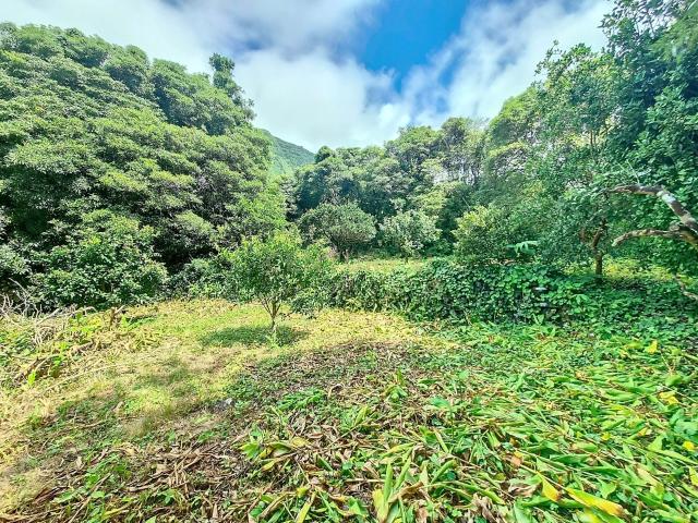 Terreno venda em Açores, Fajã Grande