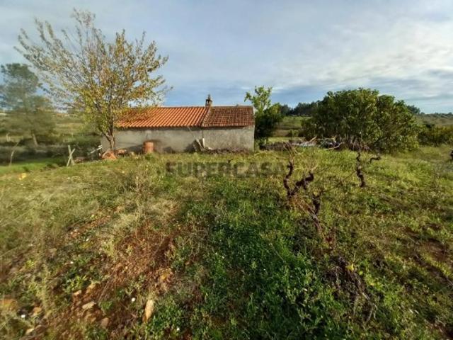 Casa venda em Castelo Branco