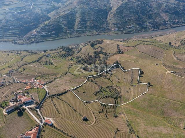 Terreno venda em Peso Da Régua, Vila Real