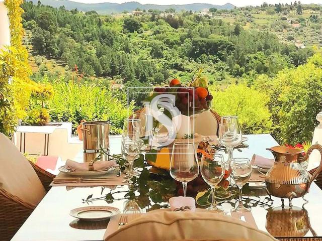 Quinta venda em Portalegre