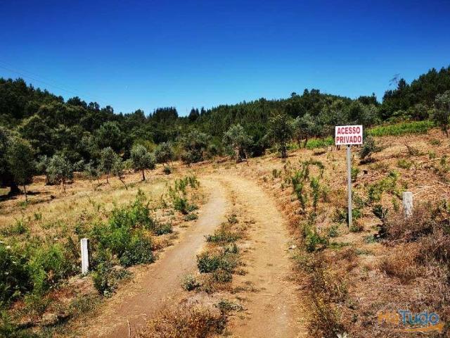 Quinta venda em Castelo Branco, Cumeada