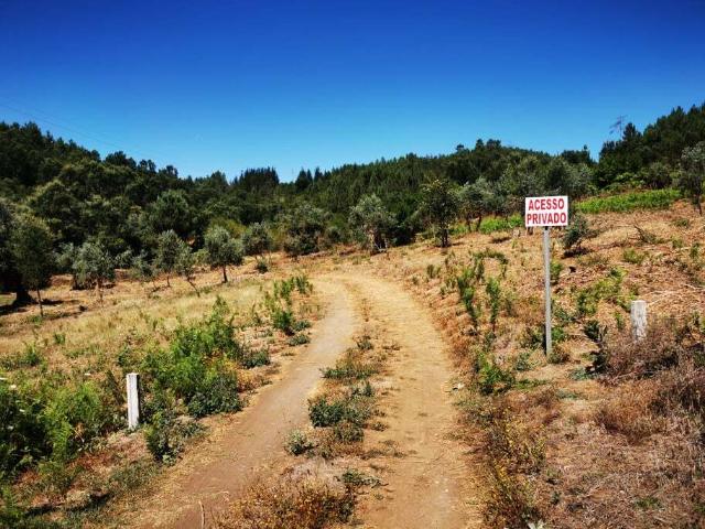 Quinta venda em Castelo Branco, Cumeada