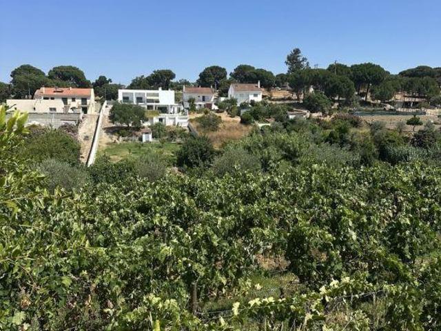 Quinta venda em Mora, Évora