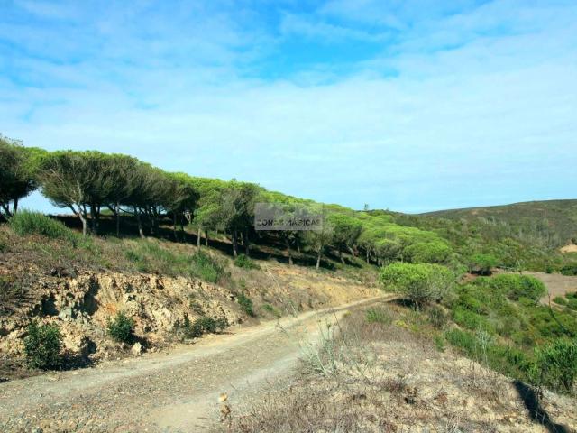 Quinta venda em Vila Do Bispo, Faro