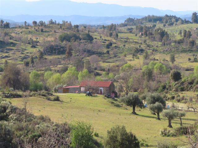 Quinta venda em Castelo Branco