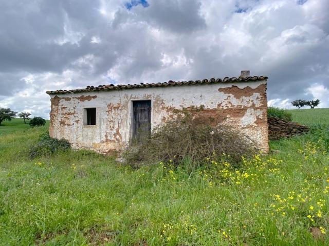 Quinta venda em Serpa, Beja