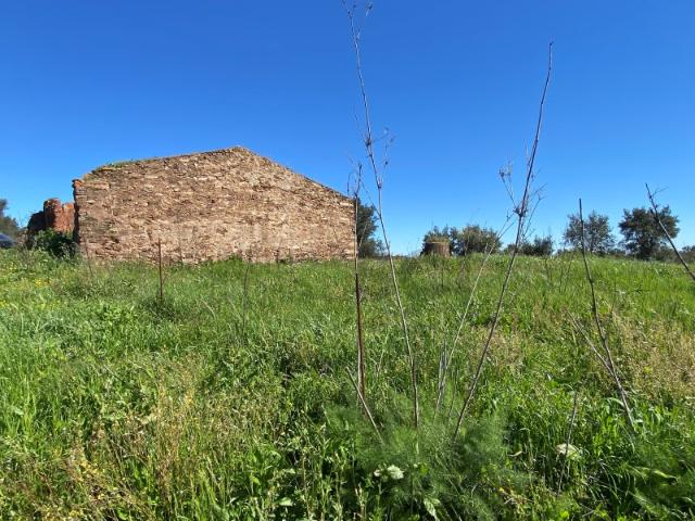 Quinta venda em Vila Verde de Ficalho, Serpa