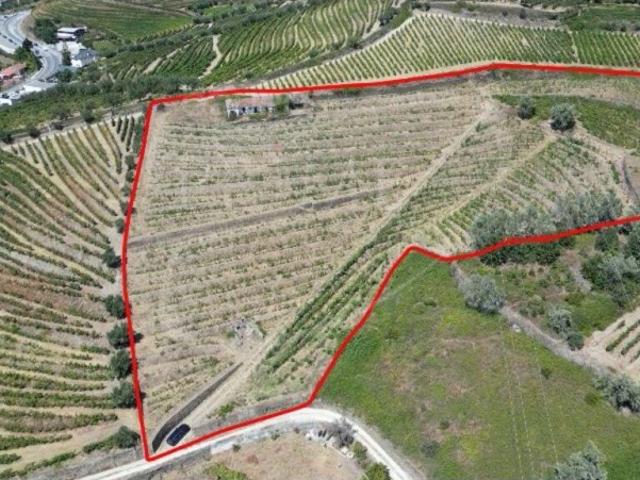 Terreno venda em Peso Da Régua, Vila Real
