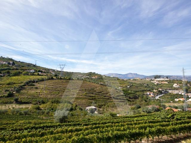 Terreno venda em Quintião, Lamego