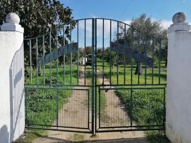 Quinta venda em Reguengos De Monsaraz, Évora