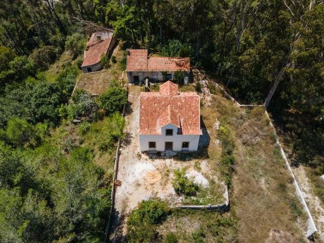 Quinta venda em Ribeira de Sintra, Sintra