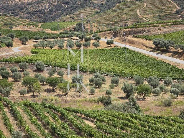 Quinta venda em Carrazeda De Ansiães, Bragança