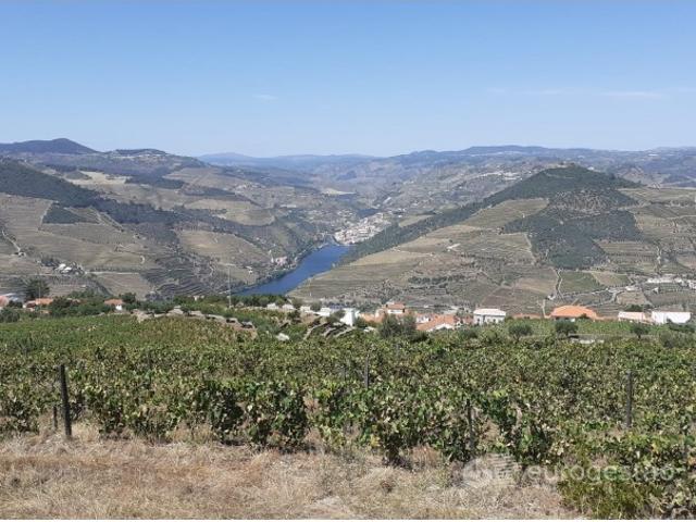 Quinta venda em Nagoselo Do Douro, Viseu