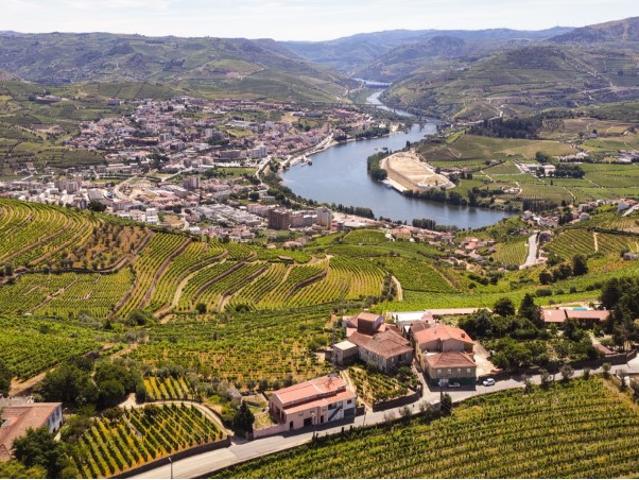 Quinta venda em Peso Da Régua, Vila Real
