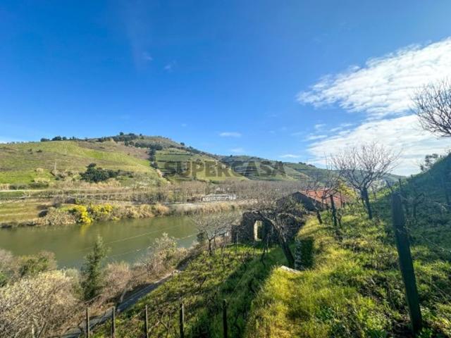 Casa venda em Lamego, Viseu