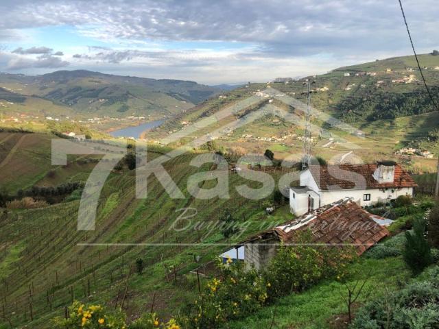 Quinta venda em Peso Da Régua, Vila Real
