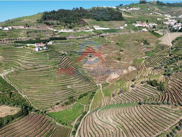 Quinta venda em Urval, Santa Marta De Penaguião