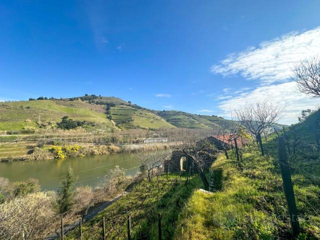 Quinta venda em Lamego, Viseu
