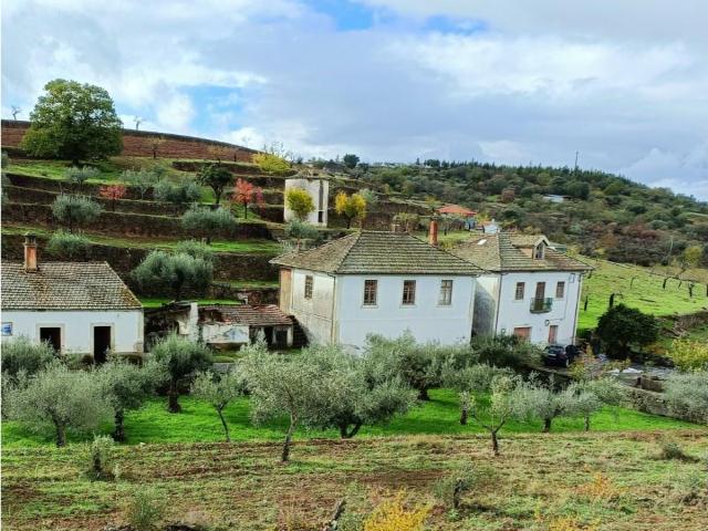 Vivenda venda em Guarda, Mós