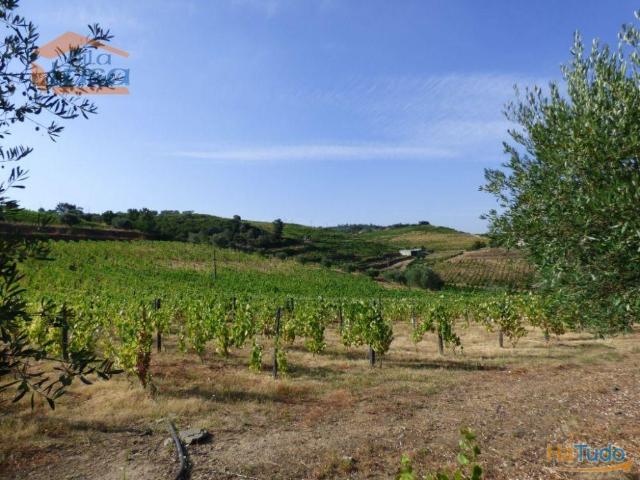 Quinta venda em Viseu