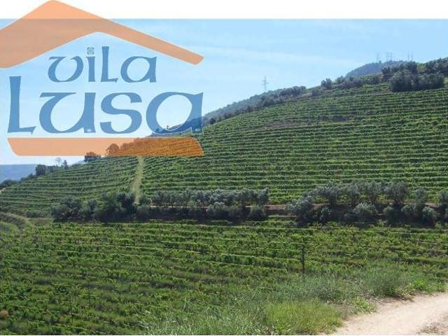 Quinta venda em Aldeias, Viseu