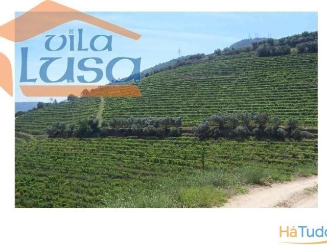 Quinta venda em Aldeias, Viseu